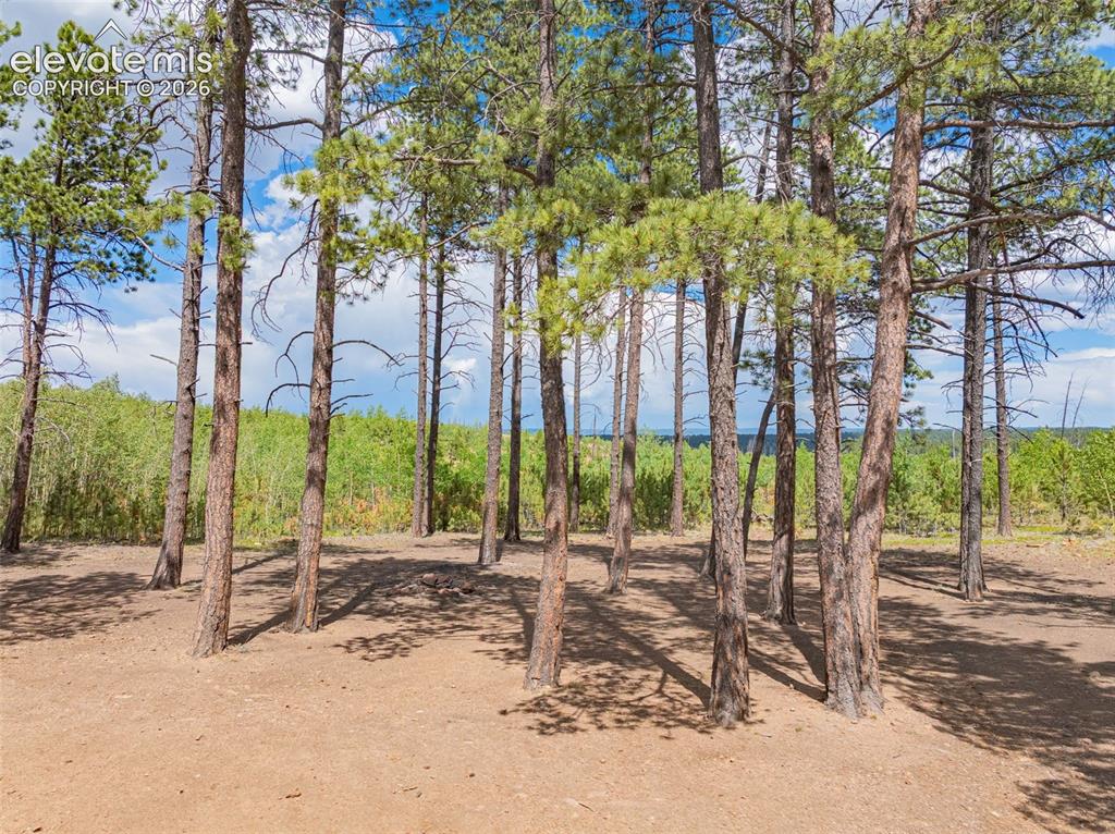 Unit 4 County Road 51 Florissant CO 80816