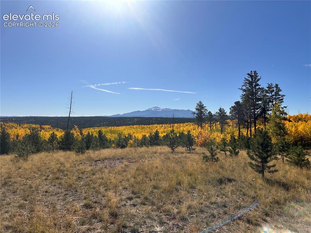Unit 4 County Road 51 Florissant CO 80816