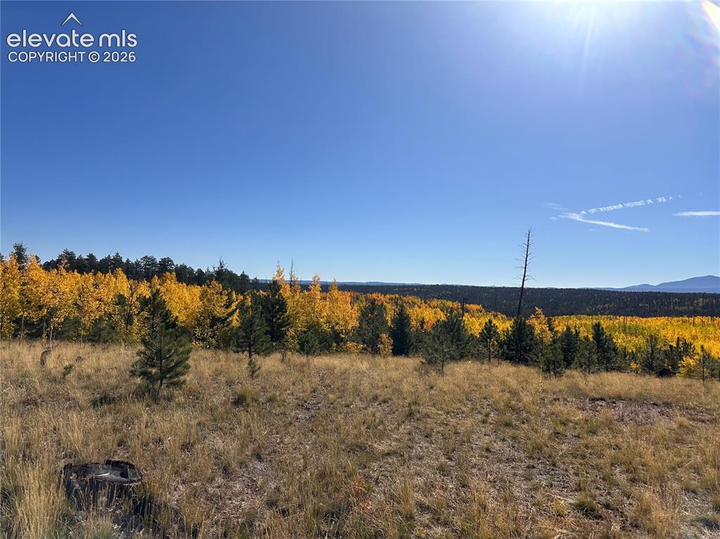 Unit 4 County Road 51 Florissant CO 80816