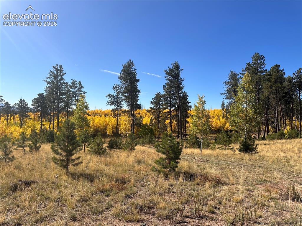 Unit 4 County Road 51 Florissant CO 80816