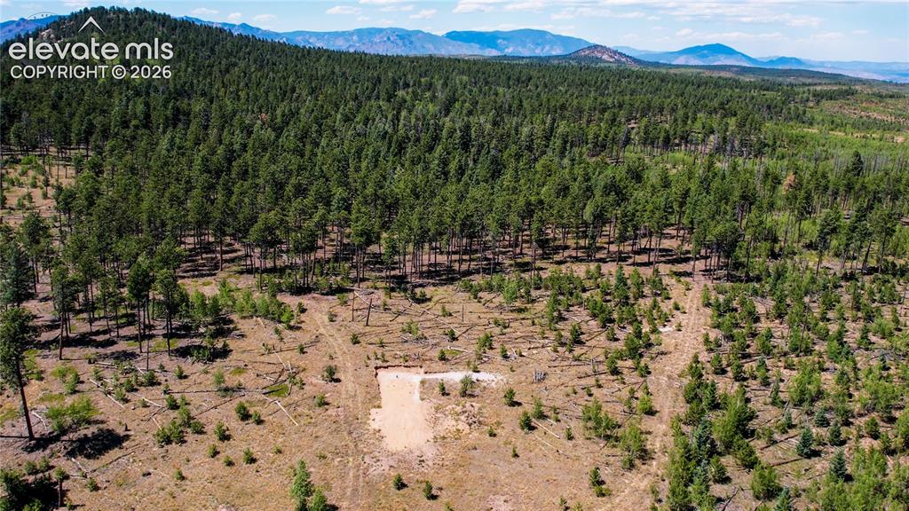 Unit 4 County Road 51 Florissant CO 80816