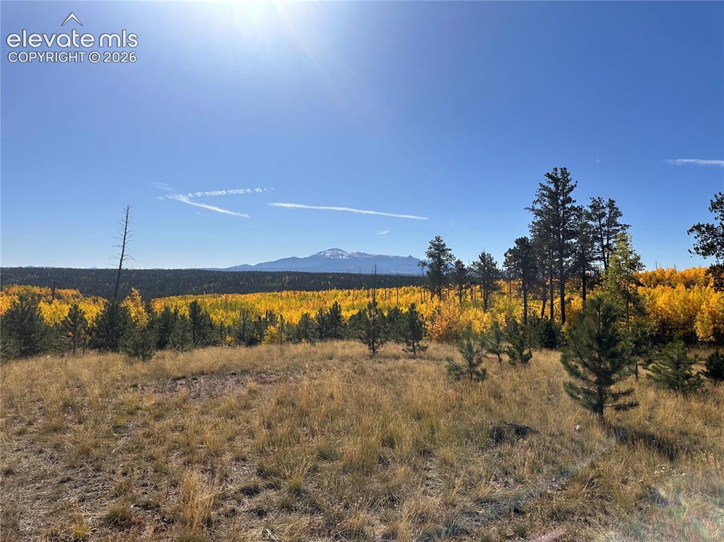Unit 4 County Road 51 Florissant CO 80816