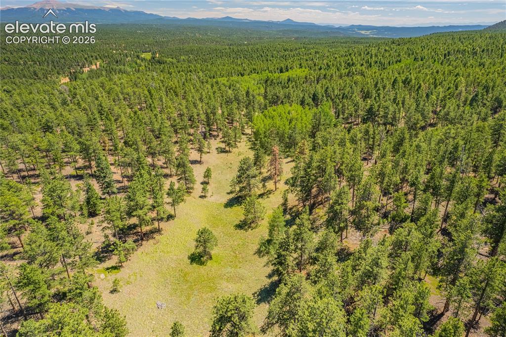 Unit 4 County Road 51 Florissant CO 80816
