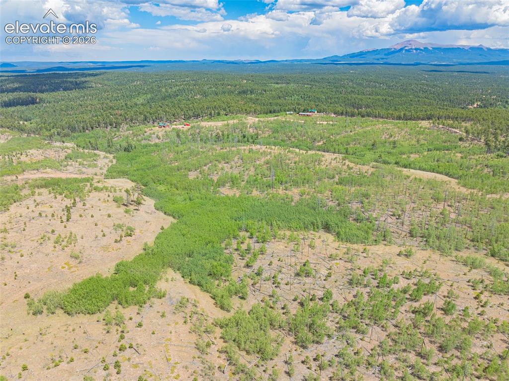Unit 4 County Road 51 Florissant CO 80816