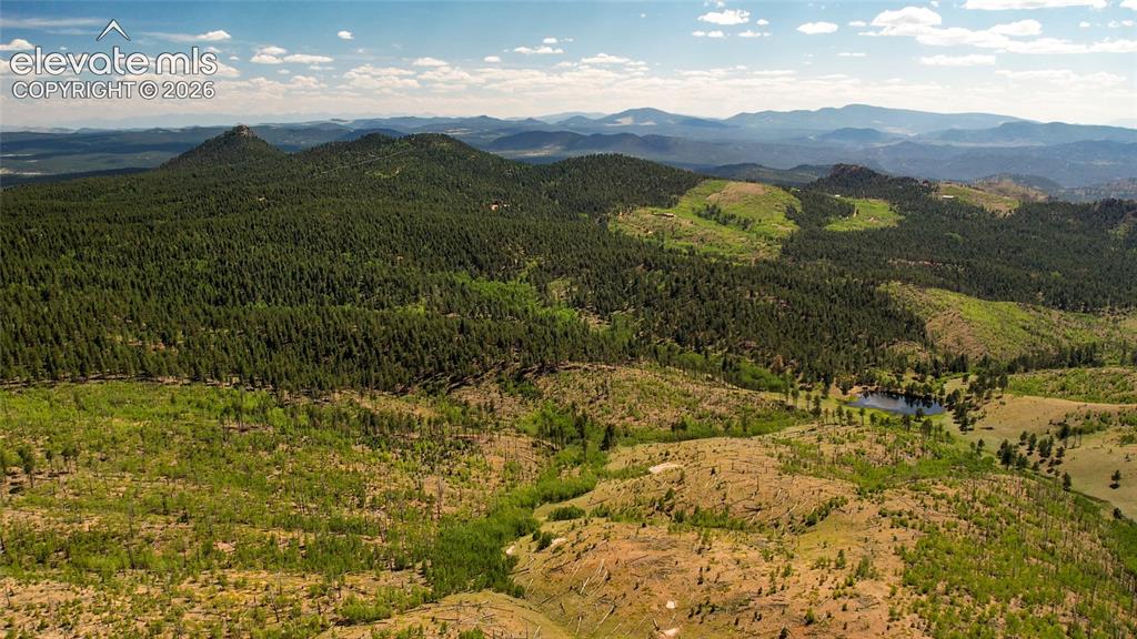 Unit 4 County Road 51 Florissant CO 80816