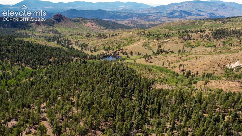 Unit 4 County Road 51 Florissant CO 80816