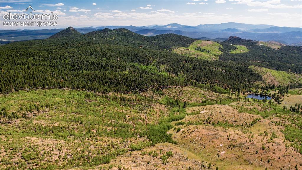 Unit 4 County Road 51 Florissant CO 80816