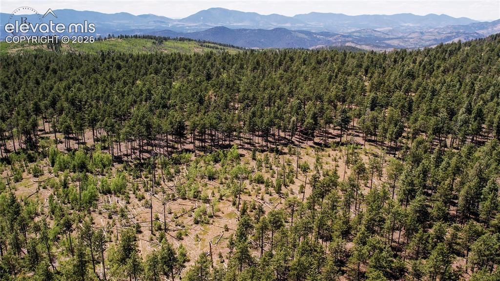 Unit 4 County Road 51 Florissant CO 80816
