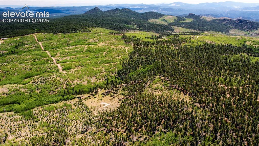 Unit 4 County Road 51 Florissant CO 80816