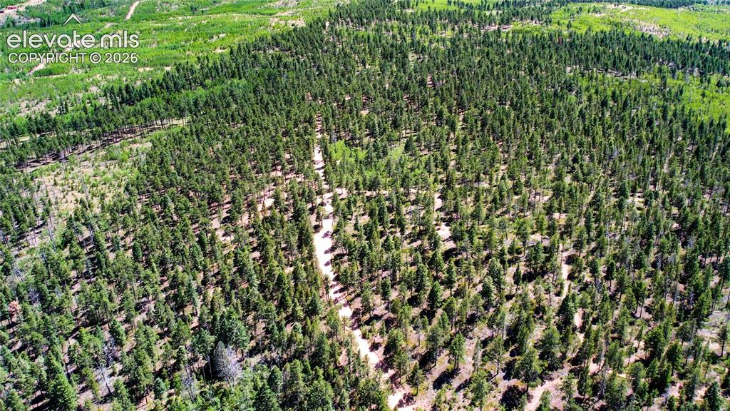 Unit 4 County Road 51 Florissant CO 80816