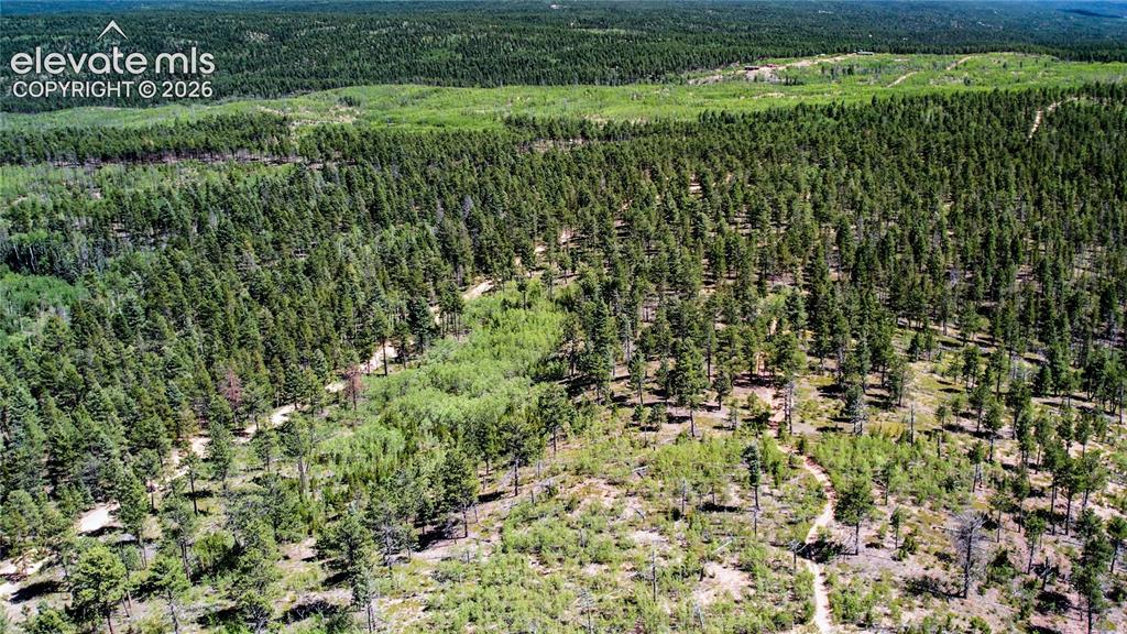 Unit 4 County Road 51 Florissant CO 80816