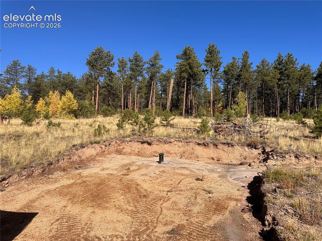Unit 4 County Road 51 Florissant CO 80816