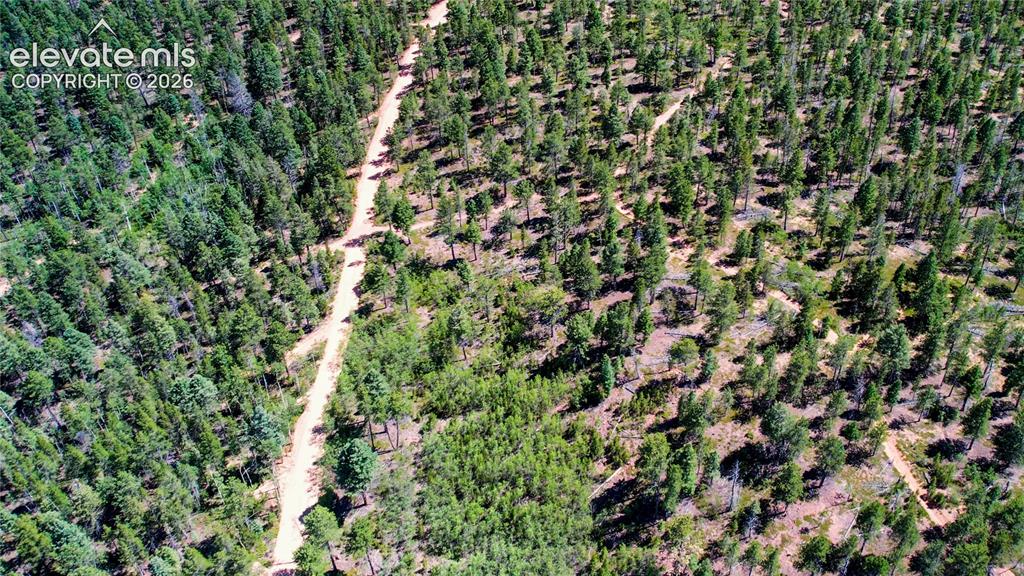 Unit 4 County Road 51 Florissant CO 80816