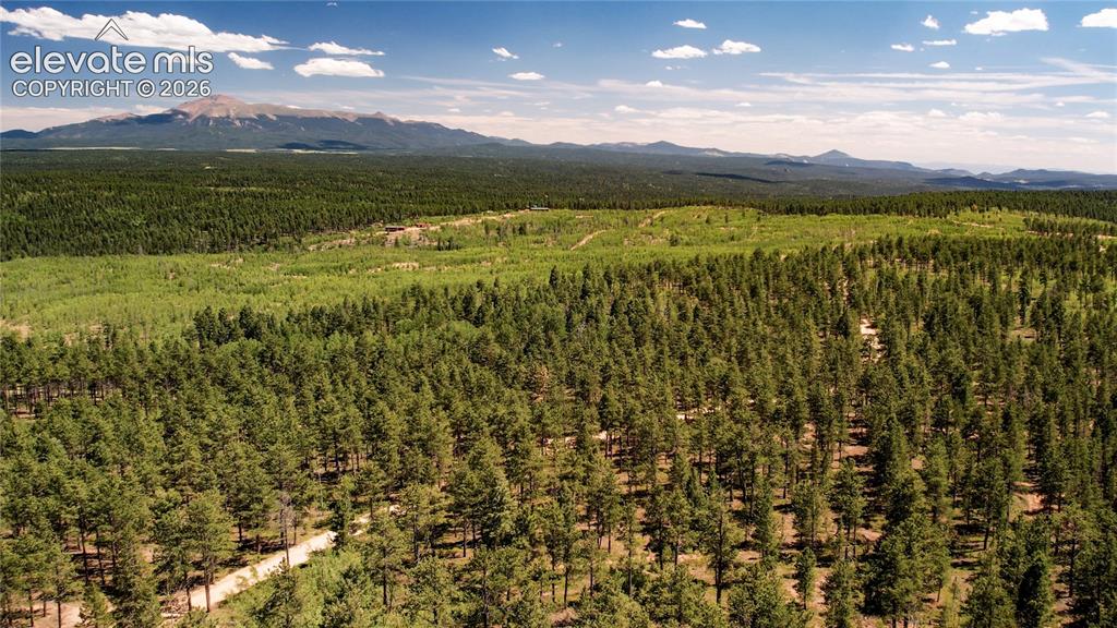 Unit 4 County Road 51 Florissant CO 80816