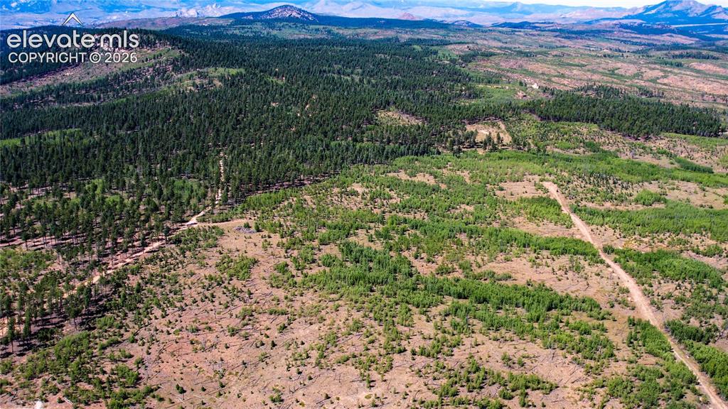 Unit 4 County Road 51 Florissant CO 80816