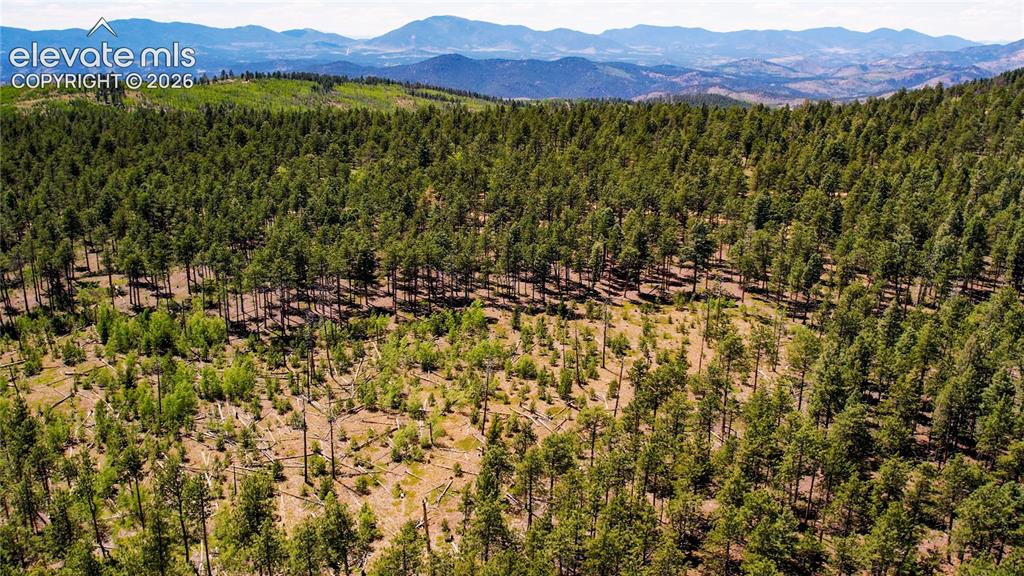 Unit 4 County Road 51 Florissant CO 80816