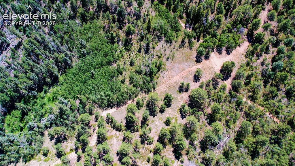 Unit 4 County Road 51 Florissant CO 80816