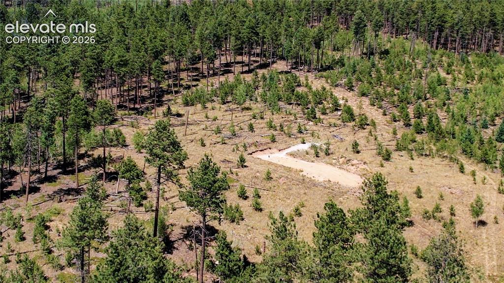 Unit 4 County Road 51 Florissant CO 80816