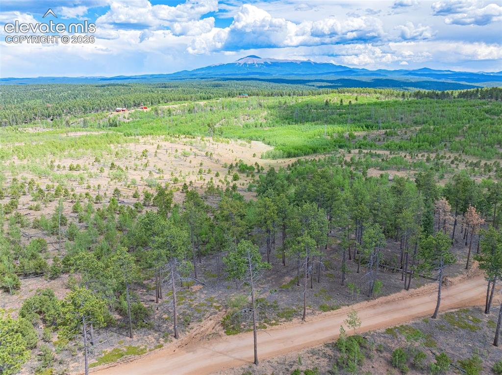 Unit 4 County Road 51 Florissant CO 80816