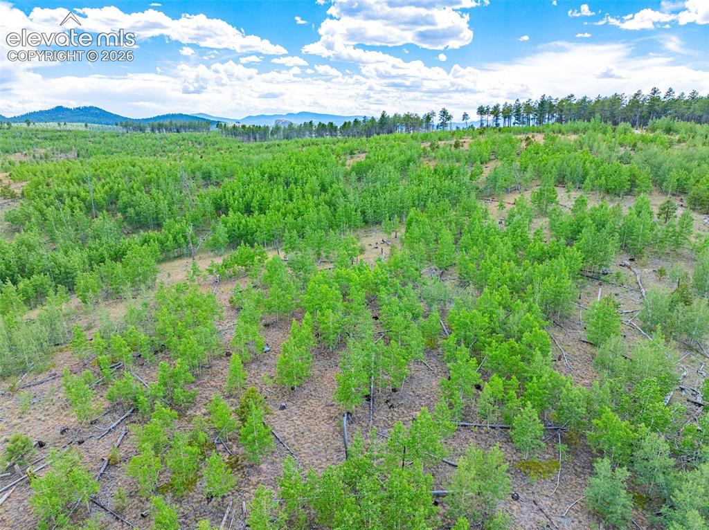 Unit 4 County Road 51 Florissant CO 80816