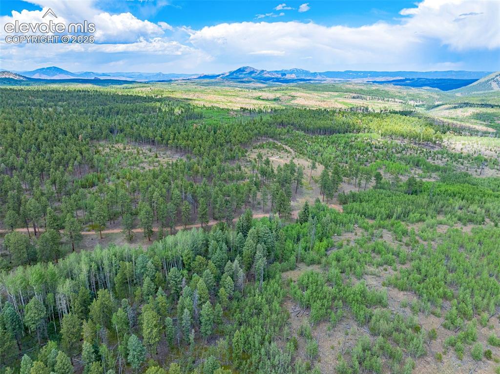 Unit 4 County Road 51 Florissant CO 80816