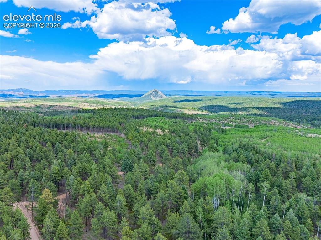 Unit 4 County Road 51 Florissant CO 80816
