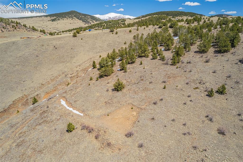 1538 County Road 1 Cripple Creek CO 80813