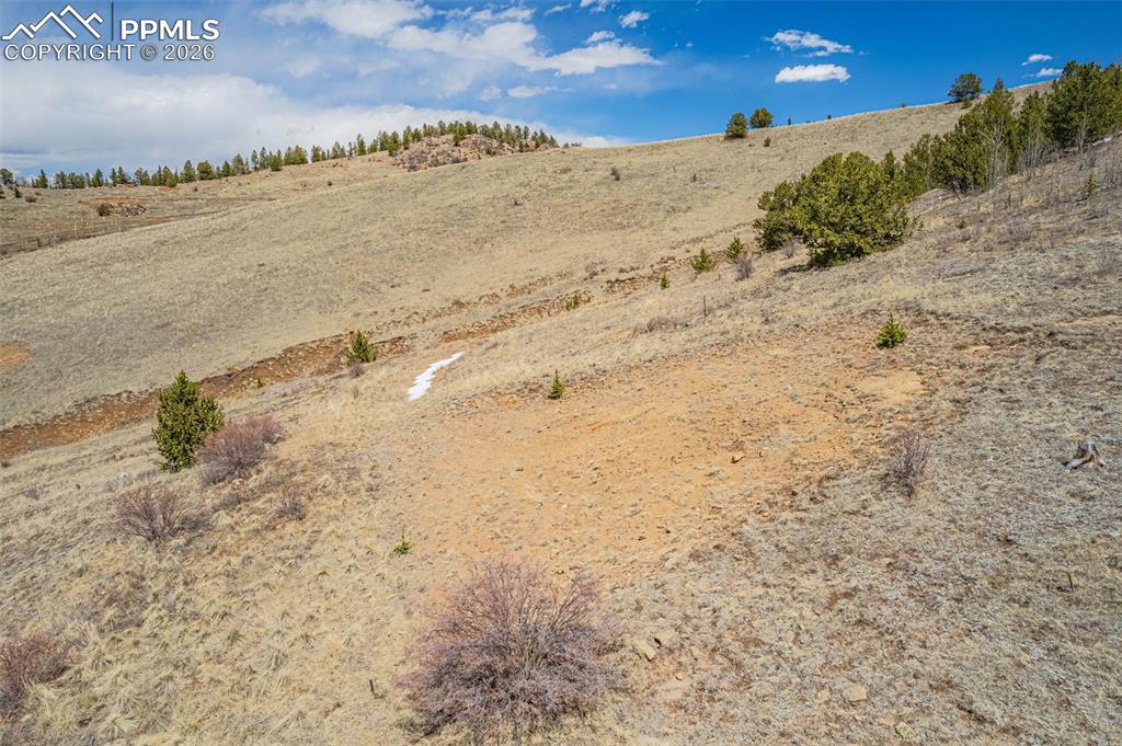 1538 County Road 1 Cripple Creek CO 80813