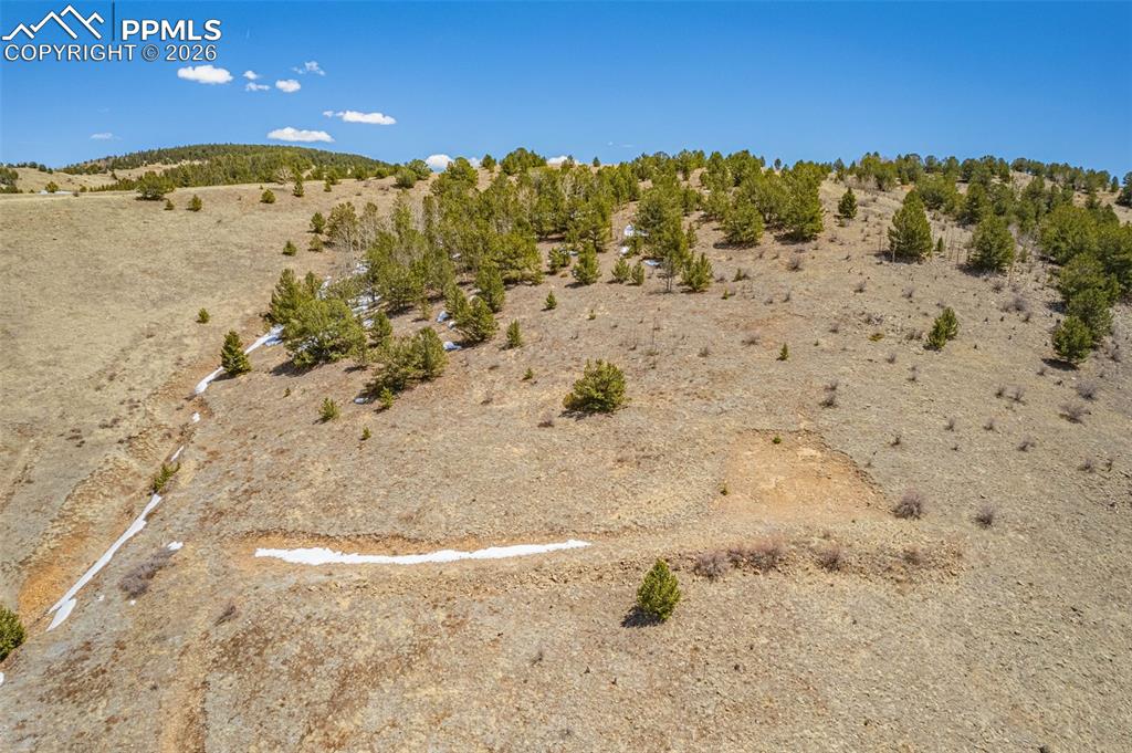 1538 County Road 1 Cripple Creek CO 80813