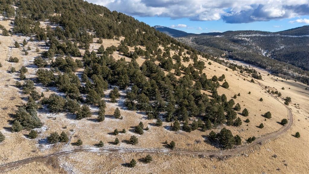 Private Road Cripple Creek CO 80813