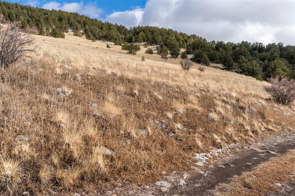 Private Road Cripple Creek CO 80813