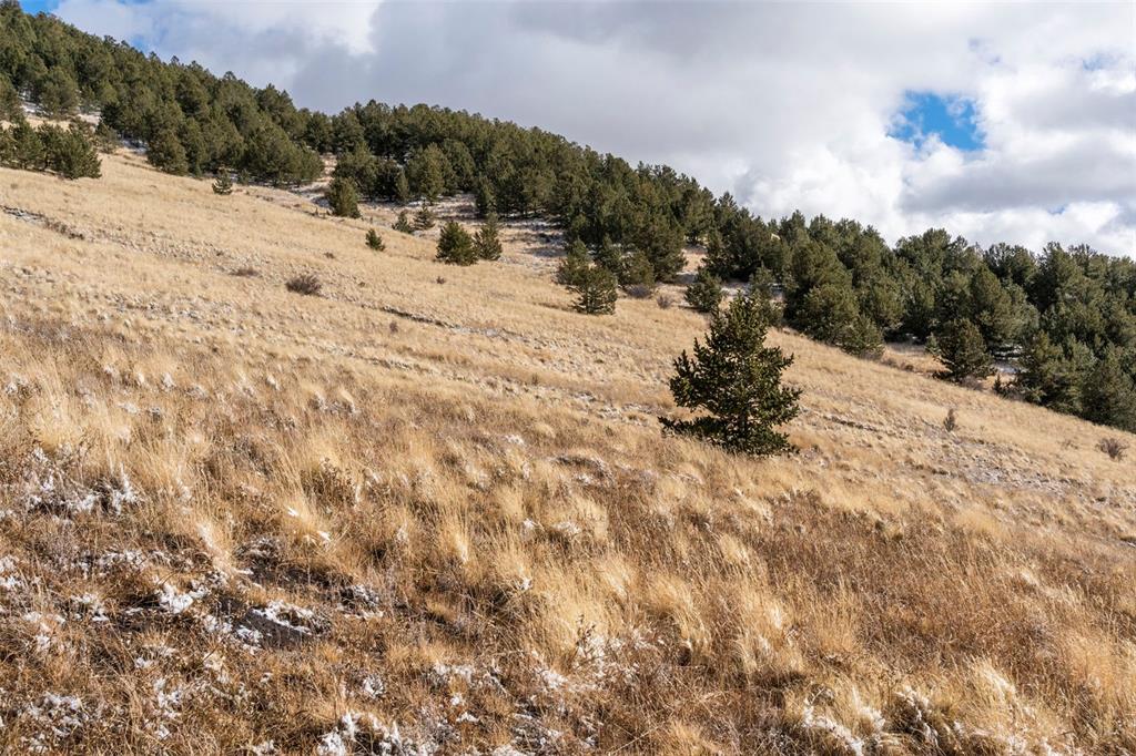 Private Road Cripple Creek CO 80813