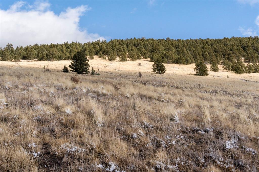 Private Road Cripple Creek CO 80813