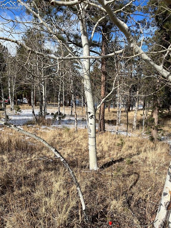 630 Pembrook Drive Woodland Park CO 80863