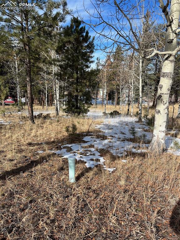 630 Pembrook Drive Woodland Park CO 80863