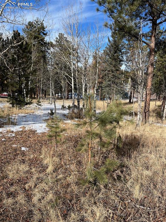 630 Pembrook Drive Woodland Park CO 80863