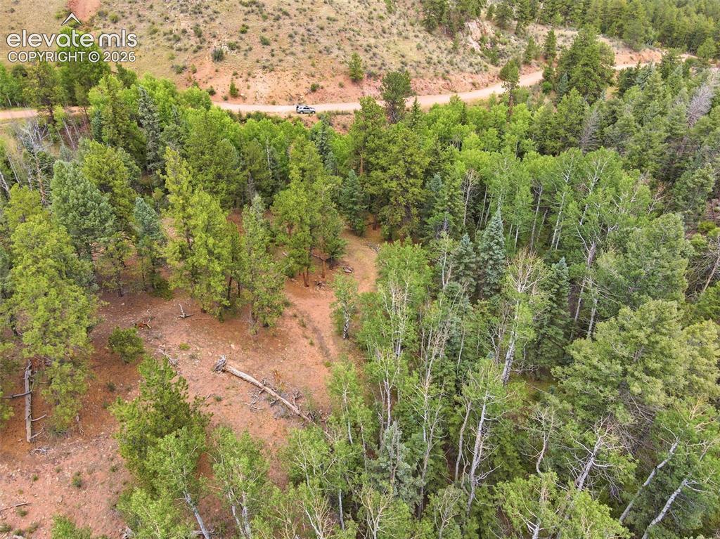 1310 Park Ridge Drive Guffey CO 80820