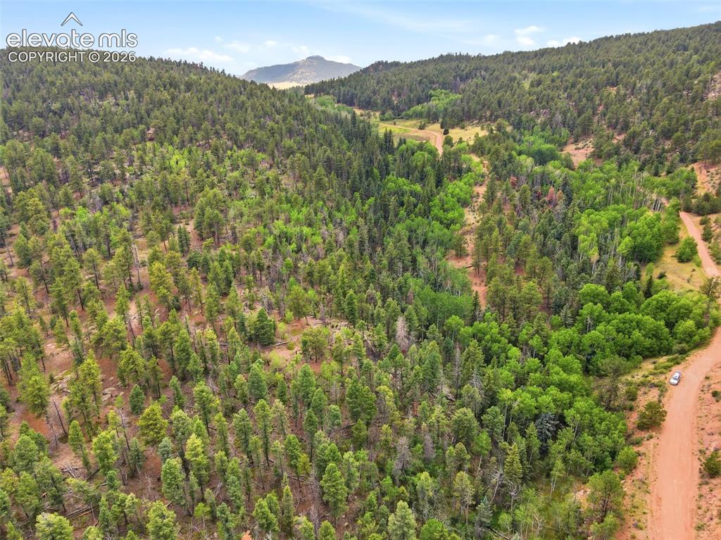 1310 Park Ridge Drive Guffey CO 80820