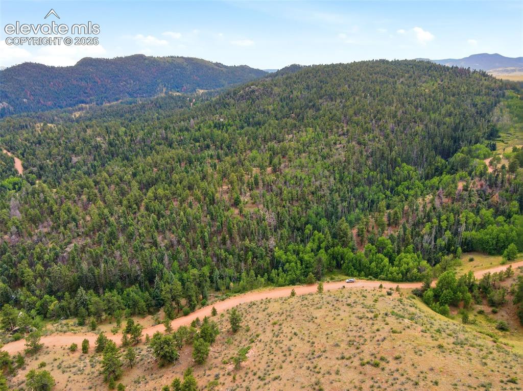 1310 Park Ridge Drive Guffey CO 80820