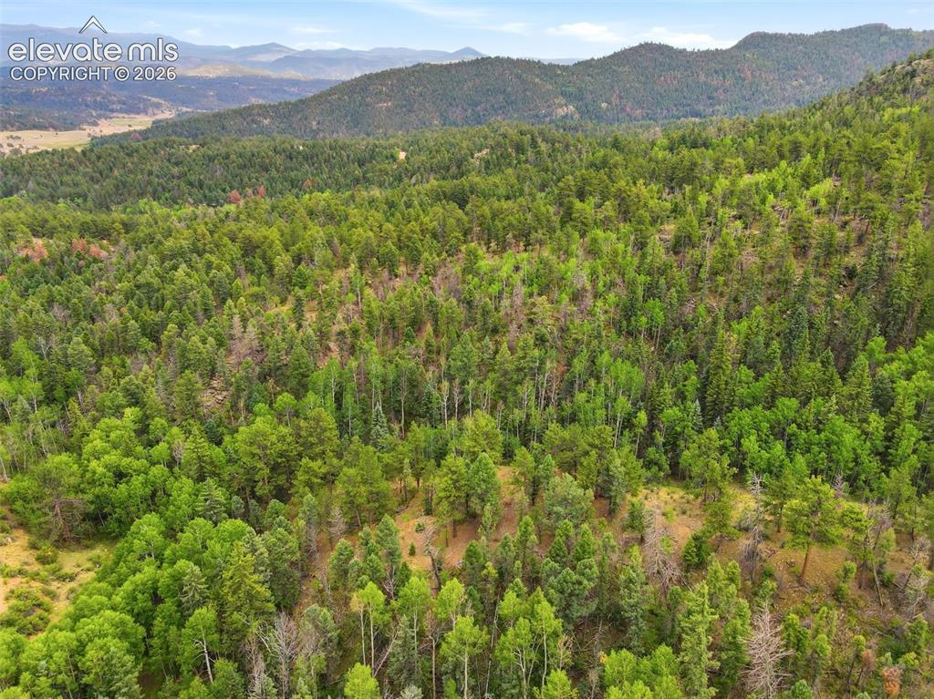 1310 Park Ridge Drive Guffey CO 80820