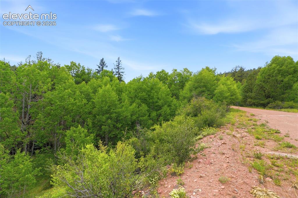 1310 Park Ridge Drive Guffey CO 80820