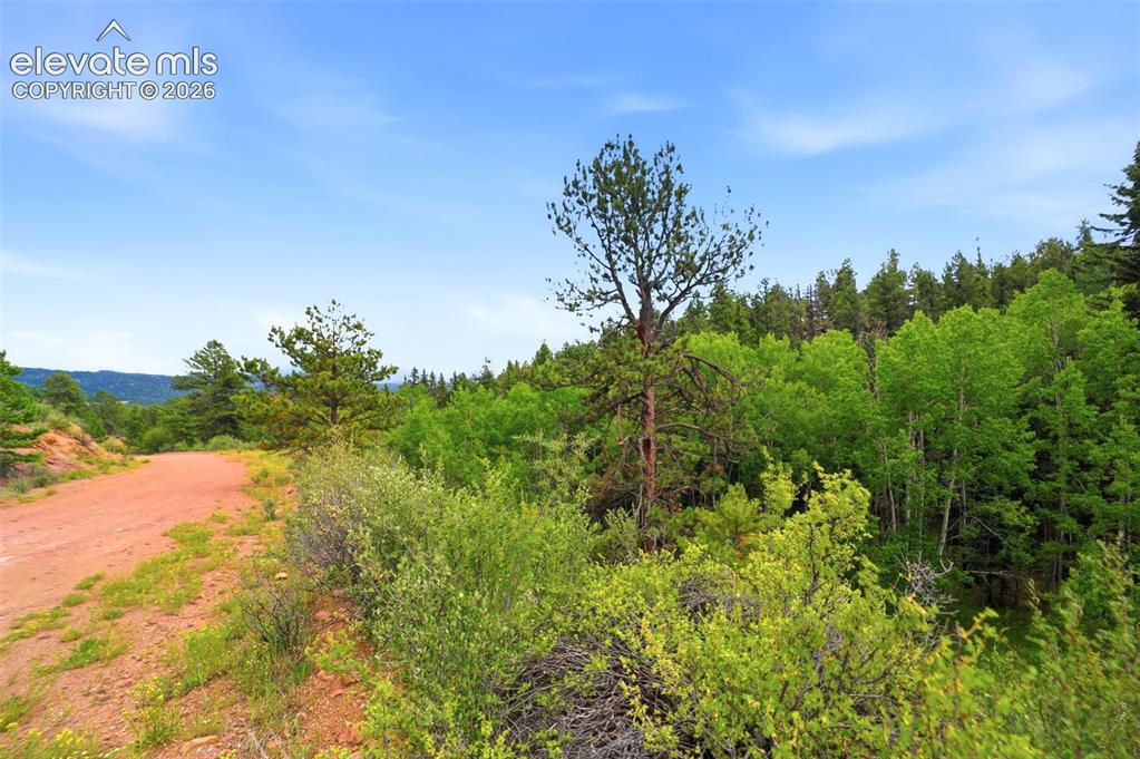 1310 Park Ridge Drive Guffey CO 80820