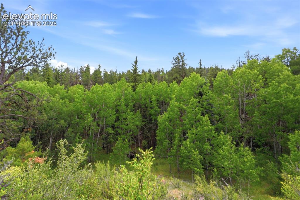 1310 Park Ridge Drive Guffey CO 80820