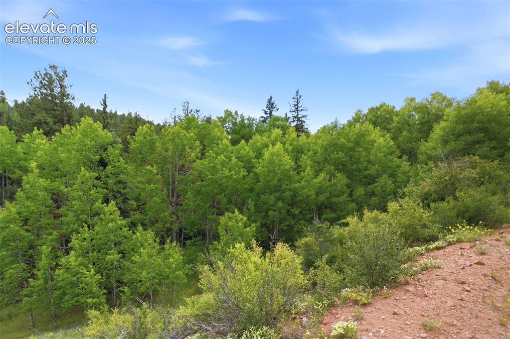 1310 Park Ridge Drive Guffey CO 80820