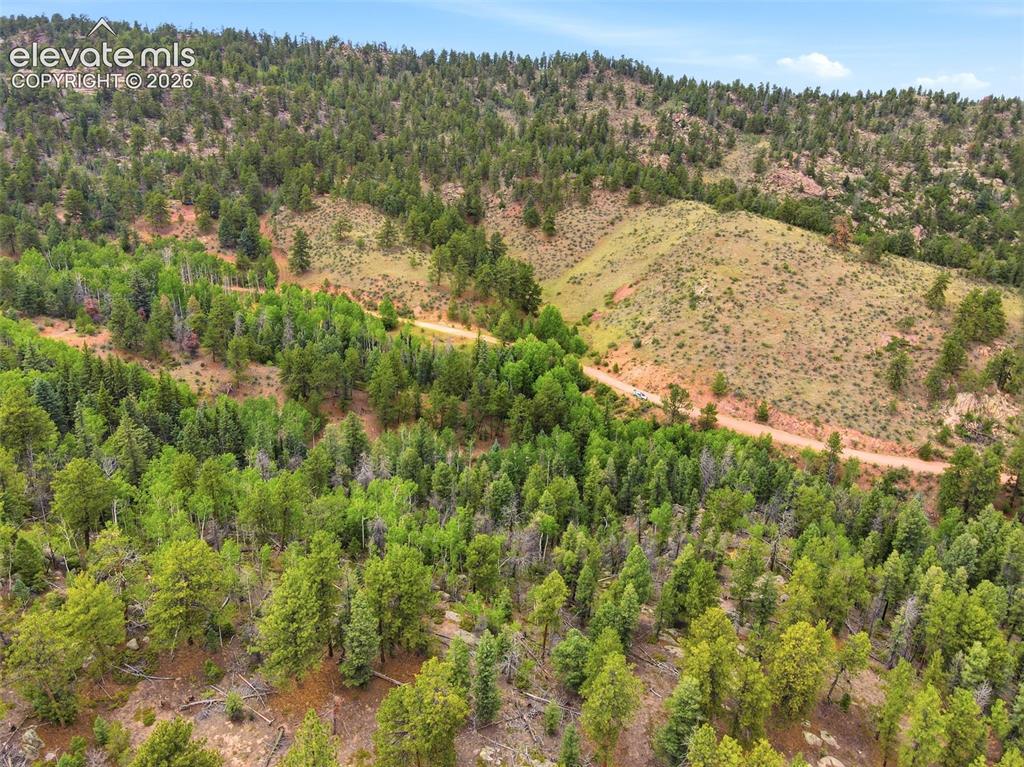 1310 Park Ridge Drive Guffey CO 80820