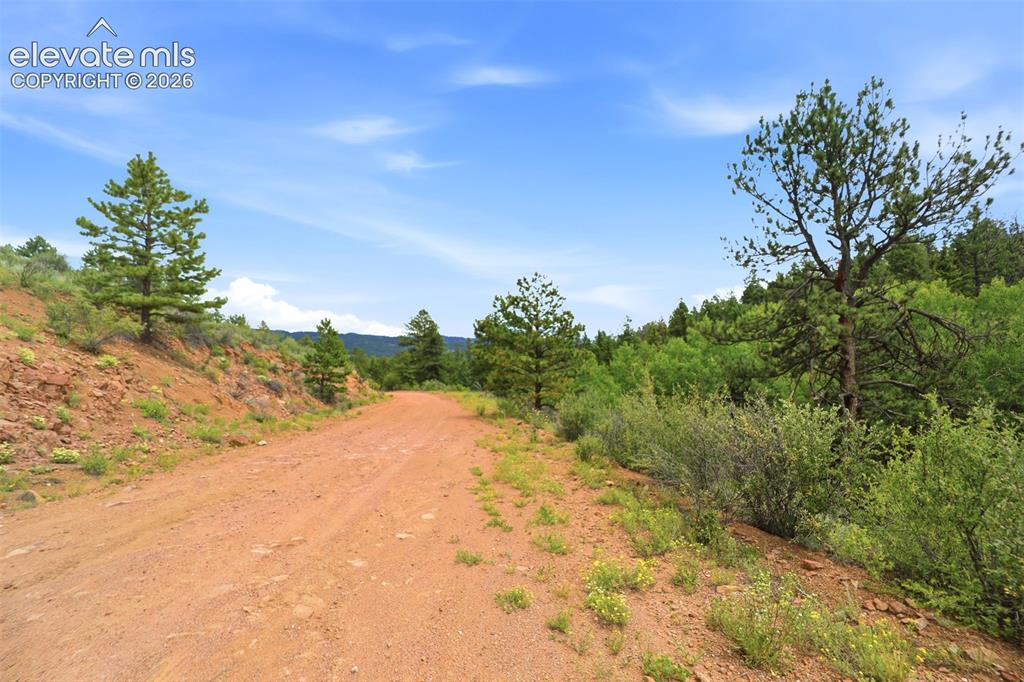 1310 Park Ridge Drive Guffey CO 80820