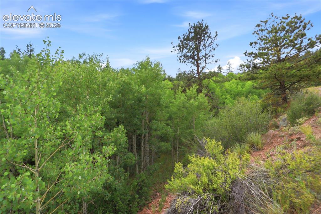1310 Park Ridge Drive Guffey CO 80820