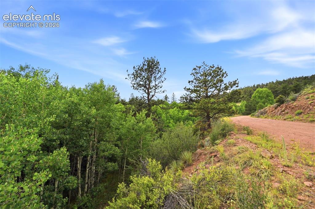 1310 Park Ridge Drive Guffey CO 80820