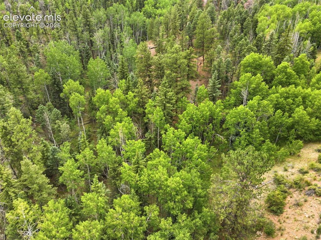 1310 Park Ridge Drive Guffey CO 80820