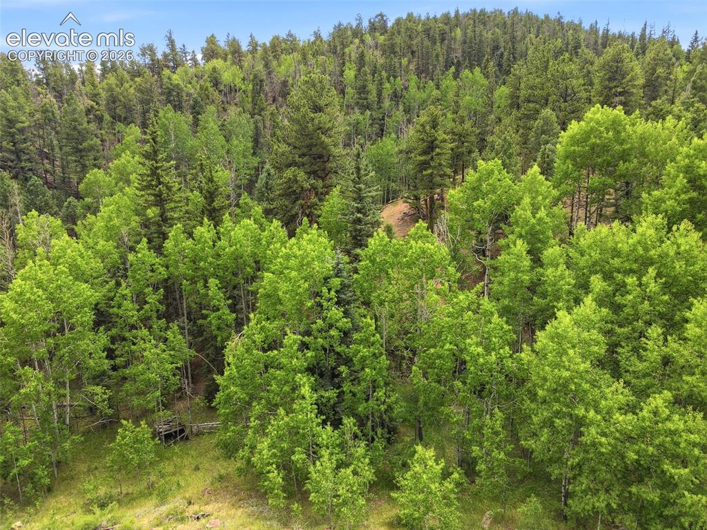 1310 Park Ridge Drive Guffey CO 80820